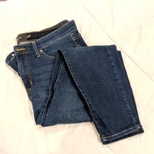 Torrid Sky High Skinny Jeans